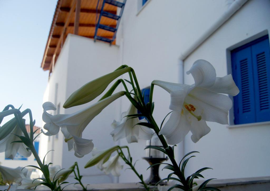 Ferienwohnung Idroussa Batsíon Exterior foto